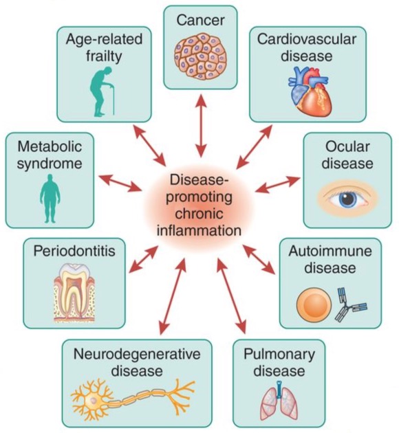 Pan-organ disease driven by chronic inflammation